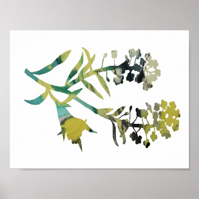 Poster Alyssum (Devant)