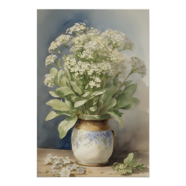 Poster Alyssum doux (Devant)