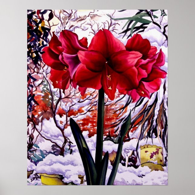 Poster Amaryllis par fenêtre de neige (Devant)