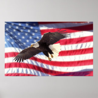 Poster américain de l'aigle et du drapeau