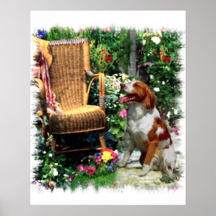 Poster American Brittany Spaniel Art Imprimer