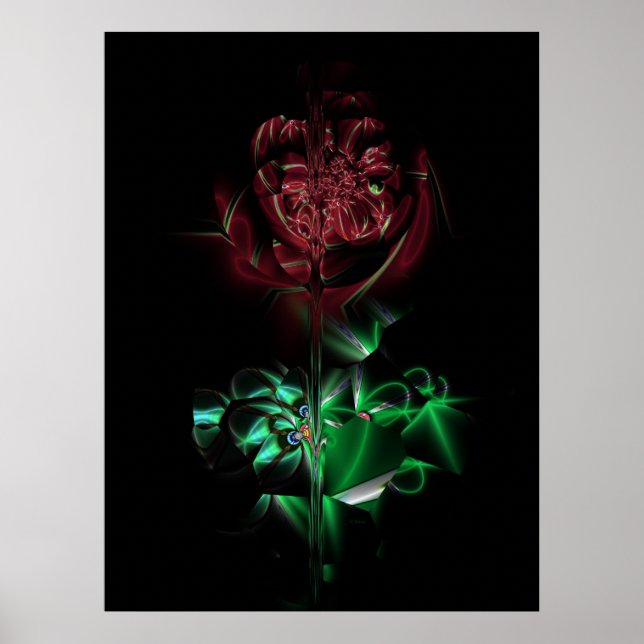 Poster American Dream (Devant)