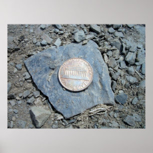 Poster American Penny (Front) 1980
