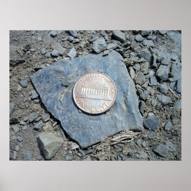 Poster American Penny (Front) 1980 (Devant)