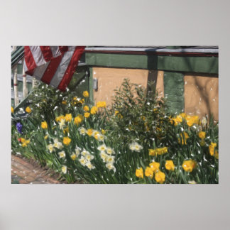 Poster American Porch