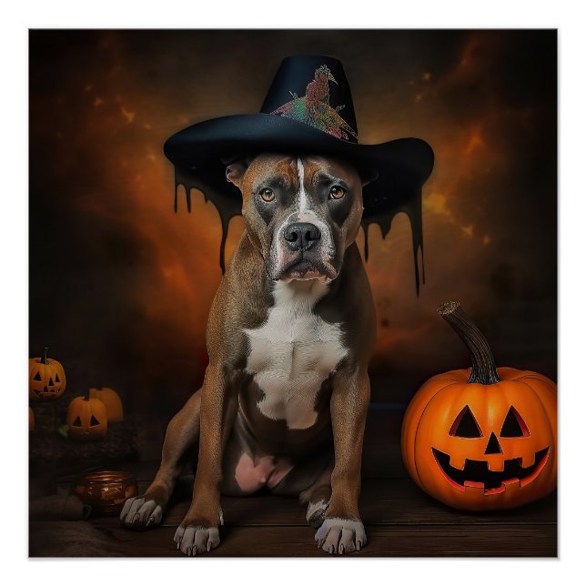 Poster American Staffordshire Citrouille Halloween effray (Devant)