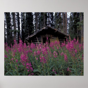 Poster Amérique du Nord, Canada, Yukon. Capteurs abandonn