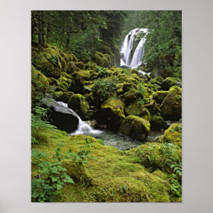 Poster Amérique du Nord, États-Unis, Alaska. Une cascade