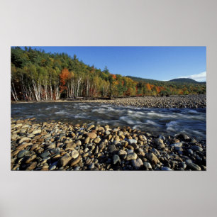 Poster Amérique du Nord, États-Unis, NH, Une plage de gal