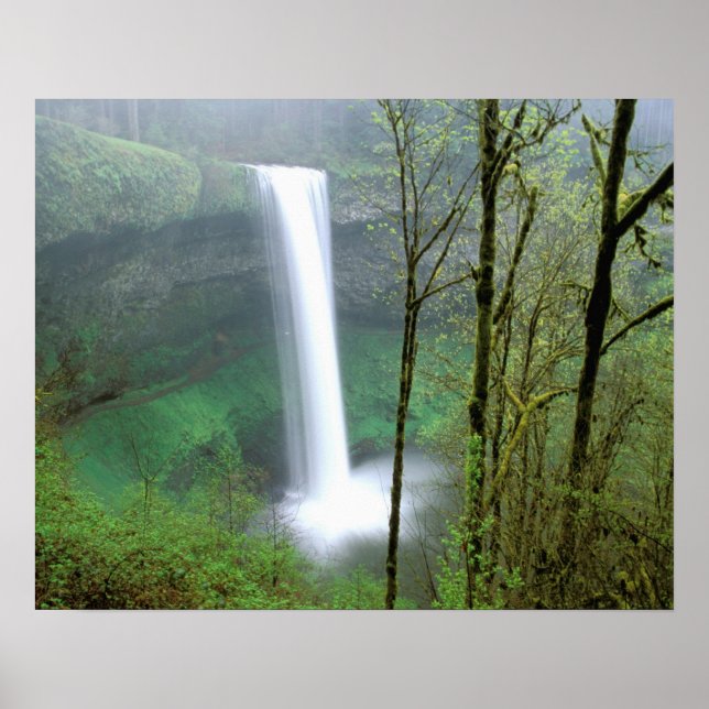 Poster Amérique du Nord, États-Unis, Oregon, Silver Falls (Devant)