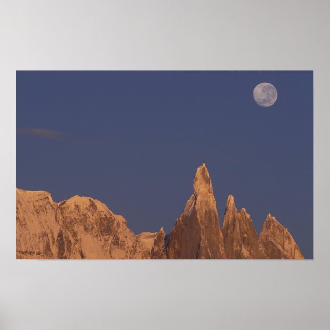 Poster Amérique du Sud, Argentine, Patagonia Parque (Devant)