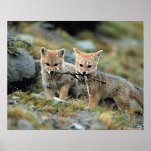 Poster Amérique du Sud, Chili, Torres del Paine National