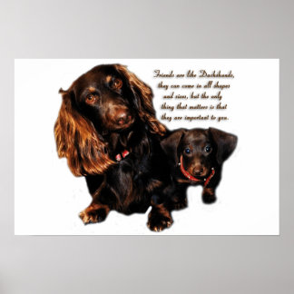 Poster Amitié Dachshund