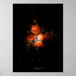 Poster Amour universel