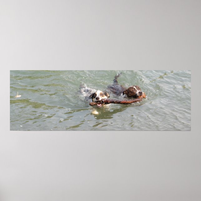 Poster amour vrai (Devant)