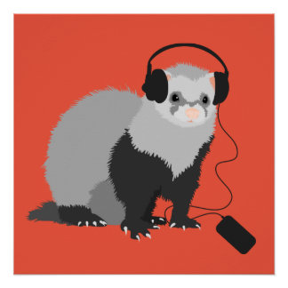 Poster Amoureux de la musique furet