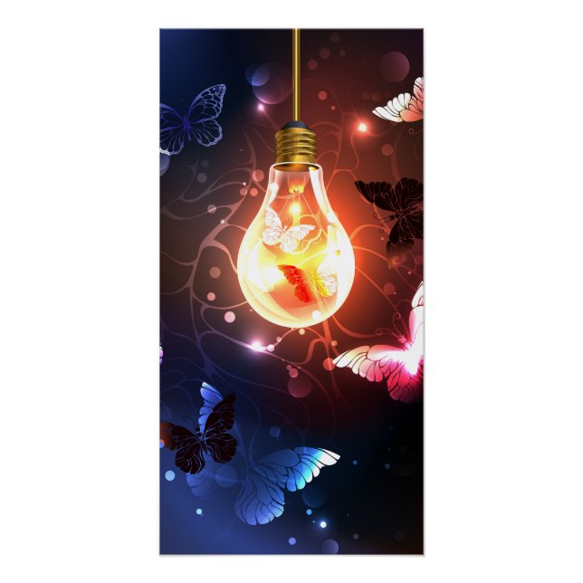 Poster Ampoule lumineuse avec papillons nocturnes (Devant)