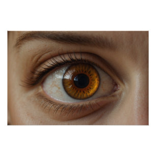 Poster Amusement Oeil Brown