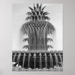 Poster Ananas apaisant