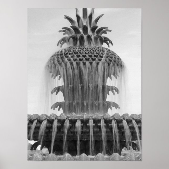 Poster Ananas apaisant (Devant)