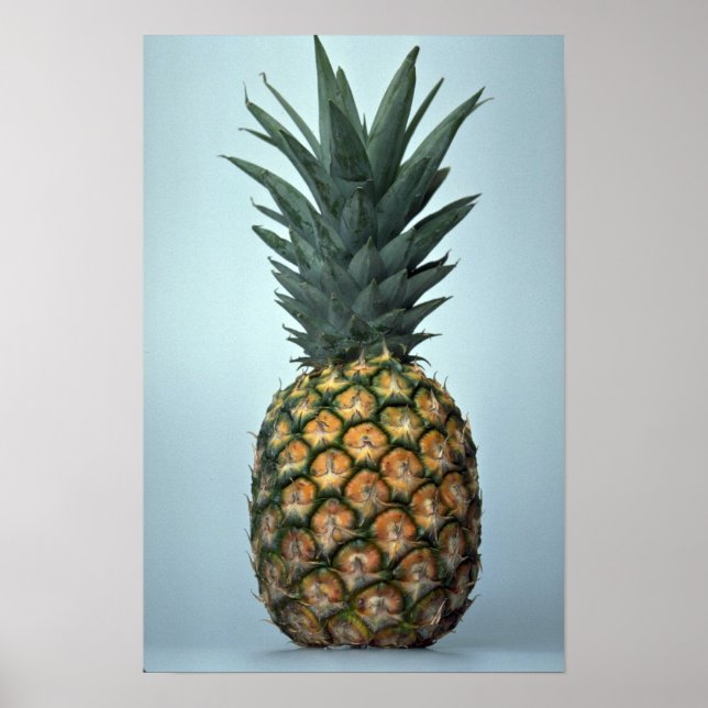 Poster Ananas délicieux (Devant)