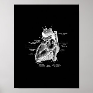 Poster Anatomie cardiaque humaine en noir et blanc