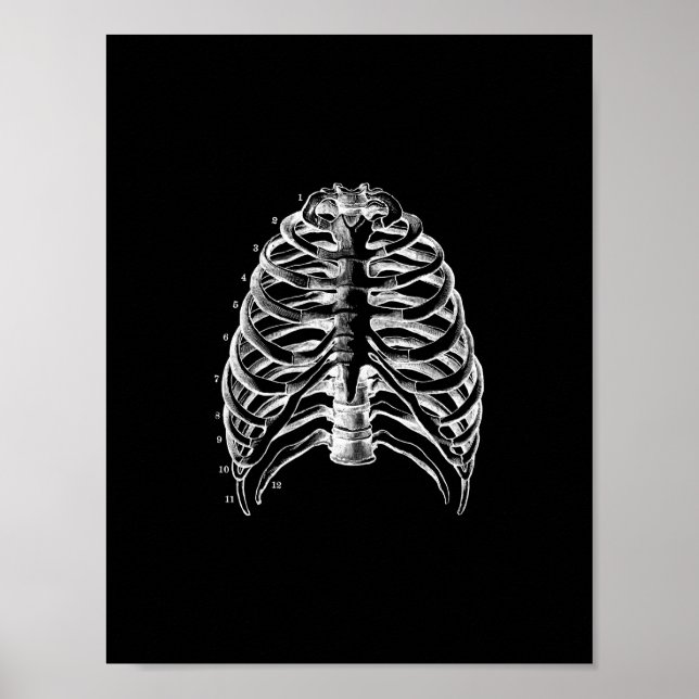 Poster Anatomie de cage humaine en noir et blanc (Devant)