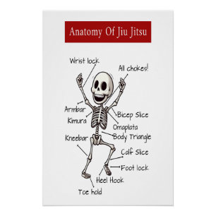 Poster Anatomie De Jiu Jitsu BJJ Skeleton Soumissions Gym