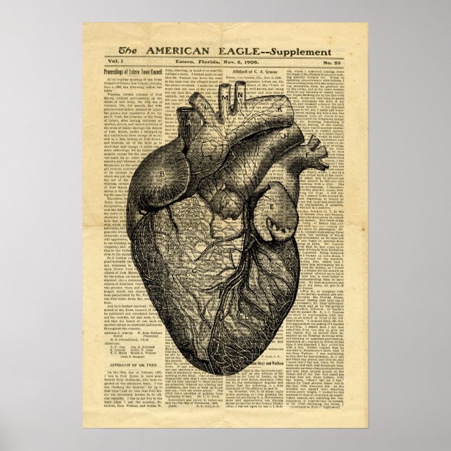 Poster Anatomie du coeur humain sur le journal (Devant)