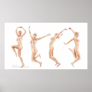 Poster Anatomie féminine