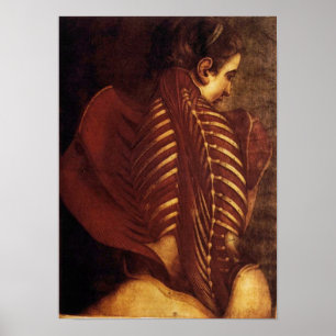 Poster Anatomie/Squelette de l'affiche arrière féminine