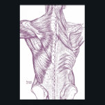 Poster Anatomie vintage Dessin Muscles De Retour Violet<br><div class="desc">Il s'agit d'une illustration médicale vintage qui offre une vue détaillée de la musculature du dos.</div>