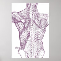Anatomie vintage Dessin Muscles De Retour Violet