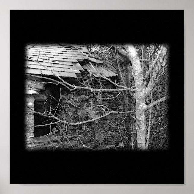 Poster Ancien gîte et arbre. Noir et blanc. (Devant)