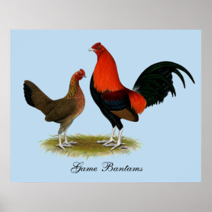 Poster Ancien jeu anglais Bantams : BB Red Pair
