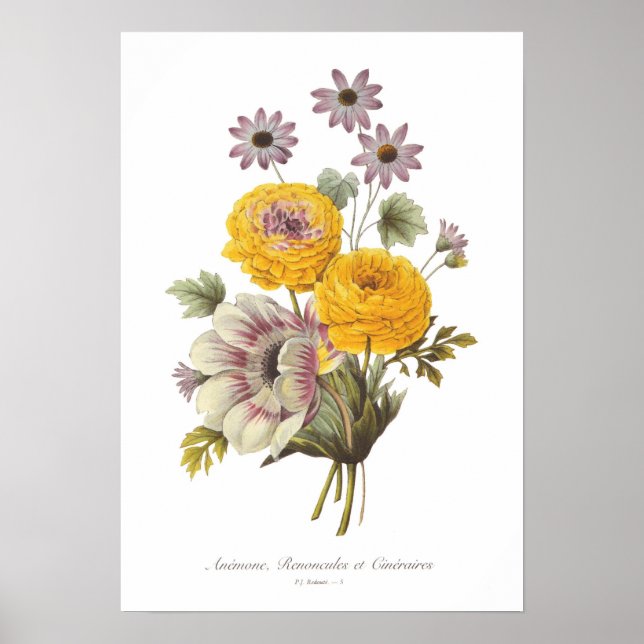 Poster Anémone et Ranunculus (Devant)