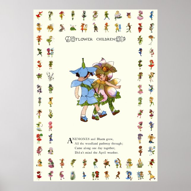 Poster Anémones et Bluets (Devant)