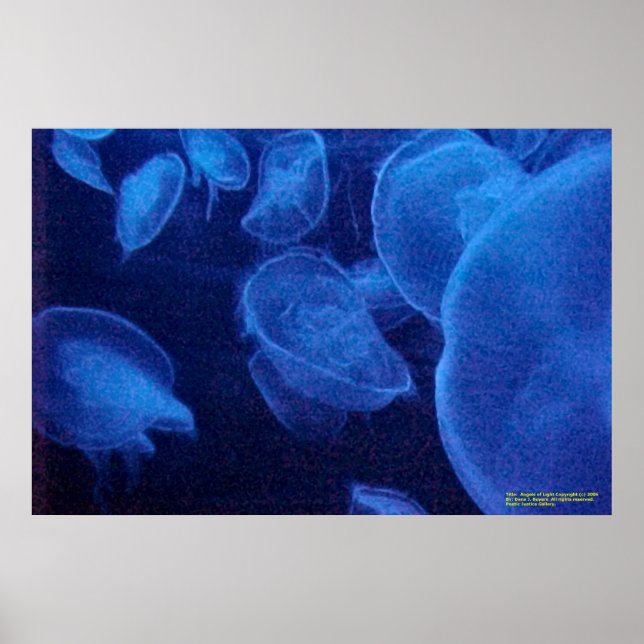 Poster Anges de lumière (Devant)