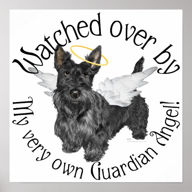 Poster Anges Scottish Terrier (Devant)