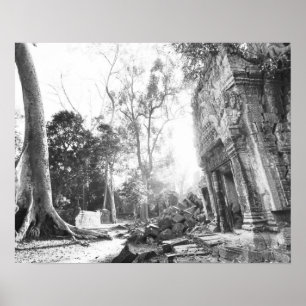 Poster Angkor Cambodge, Détails Ta Prohm