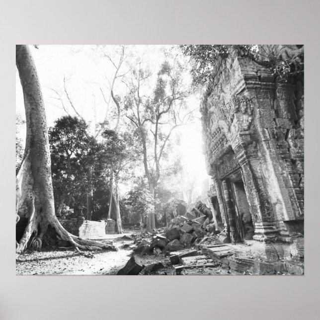 Poster Angkor Cambodge, Détails Ta Prohm (Devant)
