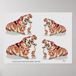 Poster : ANGLAIS BULL DOG