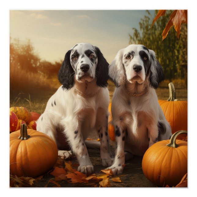 Poster Anglais Setter Puppy Automne Citrouille de plaisir (Devant)