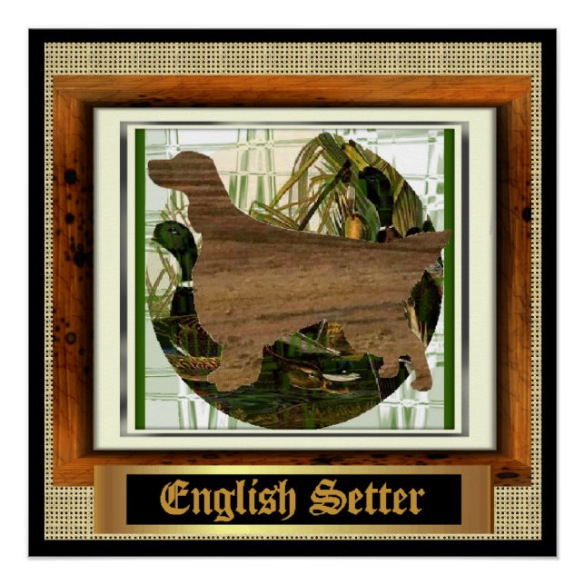 Poster Anglais Setter Sporting (Devant)