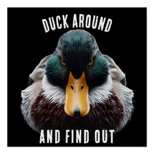 Poster Angry Duck dit Duck Around and Find