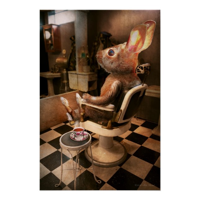 Poster Animal - Lapin - Coupe de lièvre (Devant)