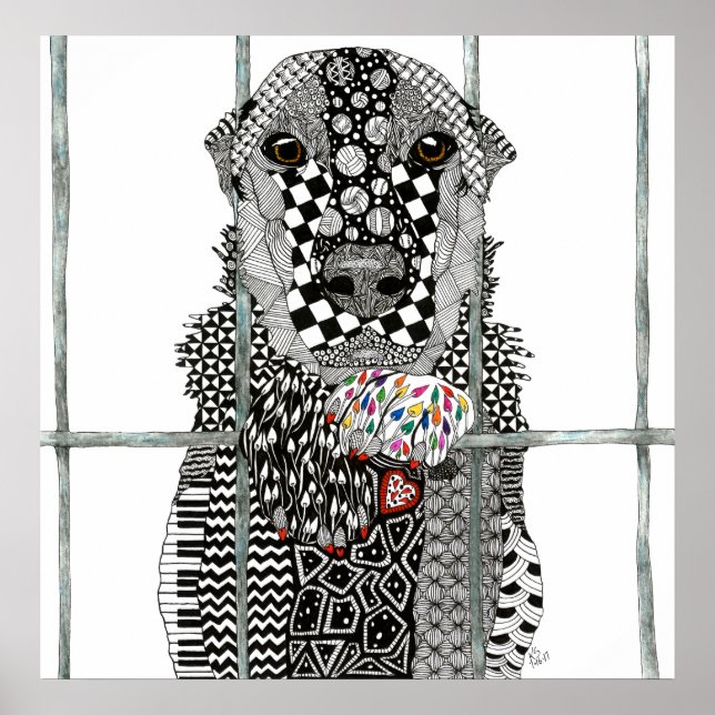 Poster animal Shelter Dog 24"x 24" (Devant)