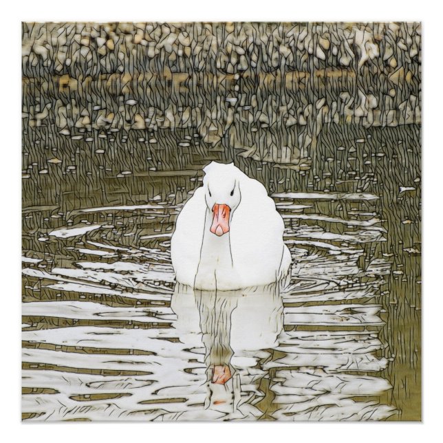 Poster Animal SmartMix - Swan (Devant)