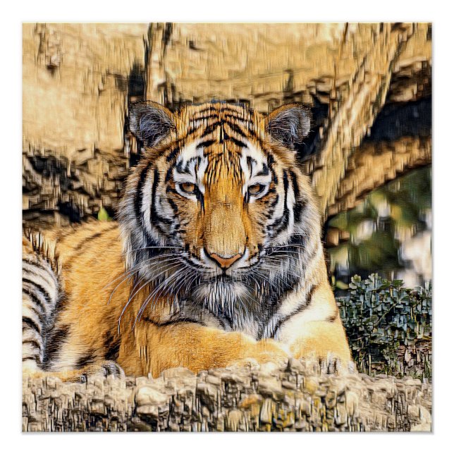 Poster AnimalMix_Tiger_009_by_JAMColors (Devant)