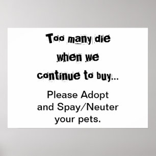 Poster Animaux de compagnie Adoption Stérilisation Surpop